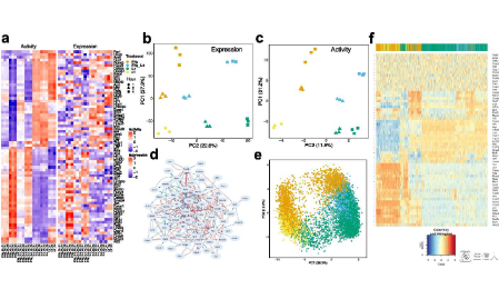 文獻分享：NetAct利用轉錄因子活動來建立調控網絡
