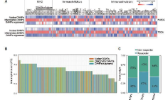 免疫原性細胞死亡--6分彎道超車型純生信思路