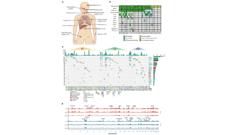 17+這數(shù)據(jù)量絕了