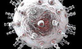 腫瘤RNA分析新思路-基于深度學習的病毒數據鑒別