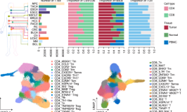 SXR202305016C+影響因子10+泛癌T細胞整合研究，10+純生信！！