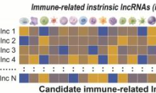 機器學習新思路，通過識別低級別膠質瘤浸潤免疫細胞相關非編碼RNA改善患者的預后與免疫治療
