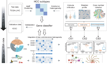 SXR202211015C+single-cell和bulk數據整合新思路，7+純生信