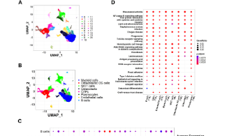SXR2023030014C+如何快速確定疾病關鍵治療靶點？快來看看這篇文章是怎么做的