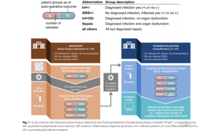 絕不外傳的高分秘籍！——生信應該卷臨床，而不是卷熱點