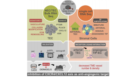 單一細胞類型的單個基因分析也可以發40+