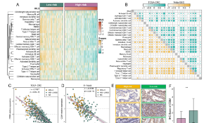 中科院一區(qū)17+的文章如何輕松拿捏？