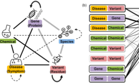 BERT在生物醫(yī)學領(lǐng)域的新應(yīng)用