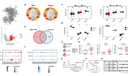肝細胞癌凝血相關基因的免疫浸潤及臨床意義分析
