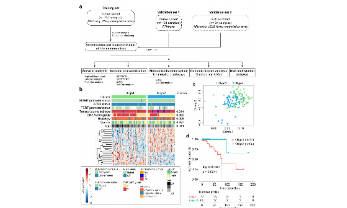 利用公共數據進行腫瘤分型怎么發11+