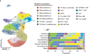 純生信還發不好發文章