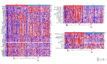 生信人TGF-β專題系列3——TGF-β純生信實戰篇