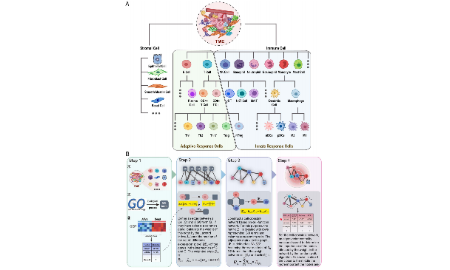 SXR202305009C_13+泛癌免疫細胞互作預后思路分享