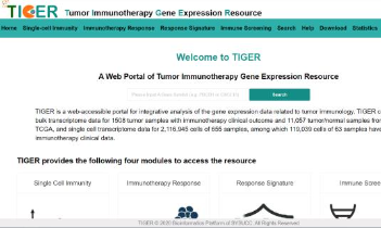 數據庫介紹：《TIGER》，腫瘤免疫治療相關的在線分析數據庫