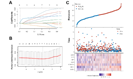 SXR202205014C-SHZ-拿捏了！預后風險模型的5步新玩法—“找、篩、建、驗、挖”
