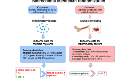 輕松上5分!——連接表型和基因型的橋梁“孟德爾隨機化”