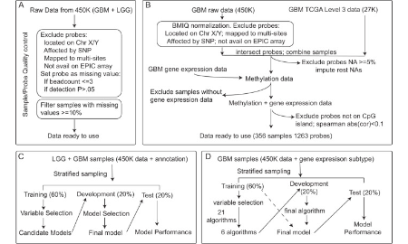 基于DNA甲基化的表觀遺傳特征預測神經膠質瘤的體細胞基因組改變