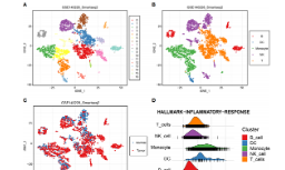 單細胞軌跡亞型解碼腫瘤的異質性
