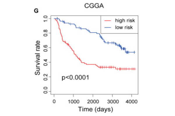 降維預(yù)后流程測試服務(wù)