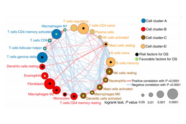 腫瘤微環(huán)境分型及預(yù)后
